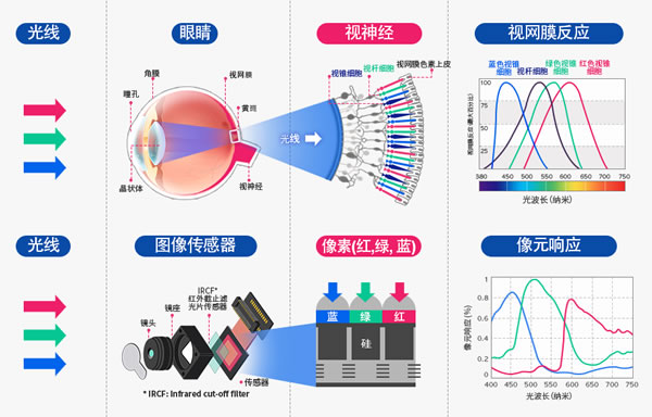 十年领跑优势扩大商汤科技率先完成CV20布局(图1)