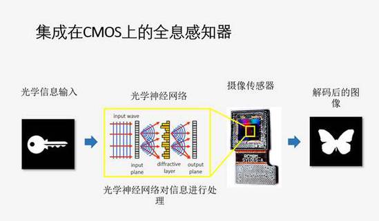 全省科技大会召开中国海洋大学崔洪芝教授荣获省科学技术最高奖(图1)